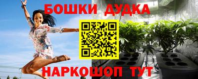 гидропоника Партизанск