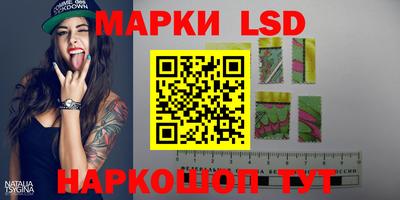 стафф Пенза